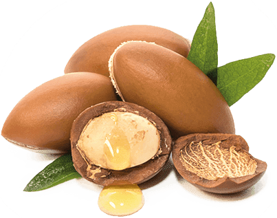 Argan Oil